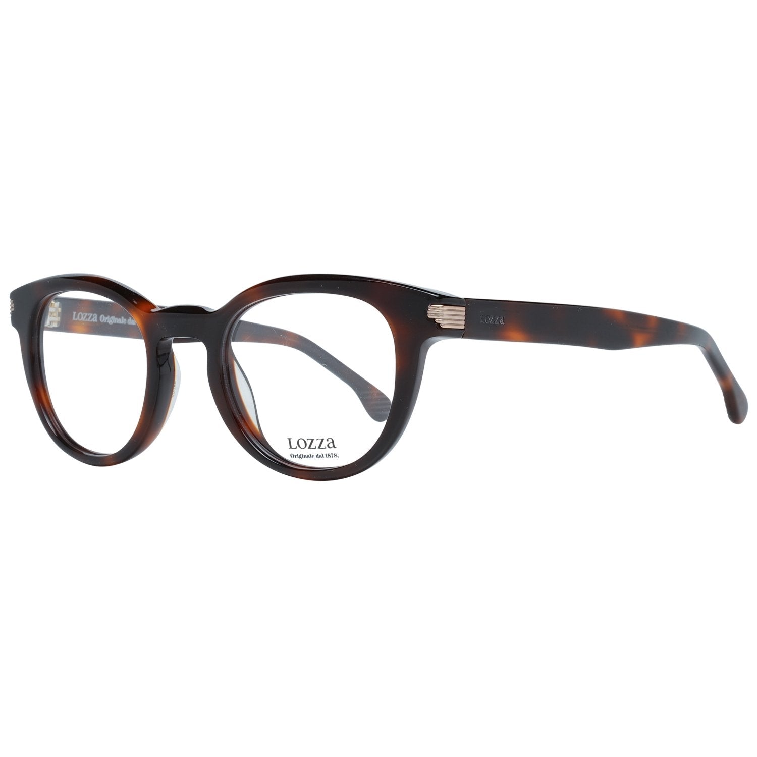 Lozza Brown Unisex Frame - Fizigo