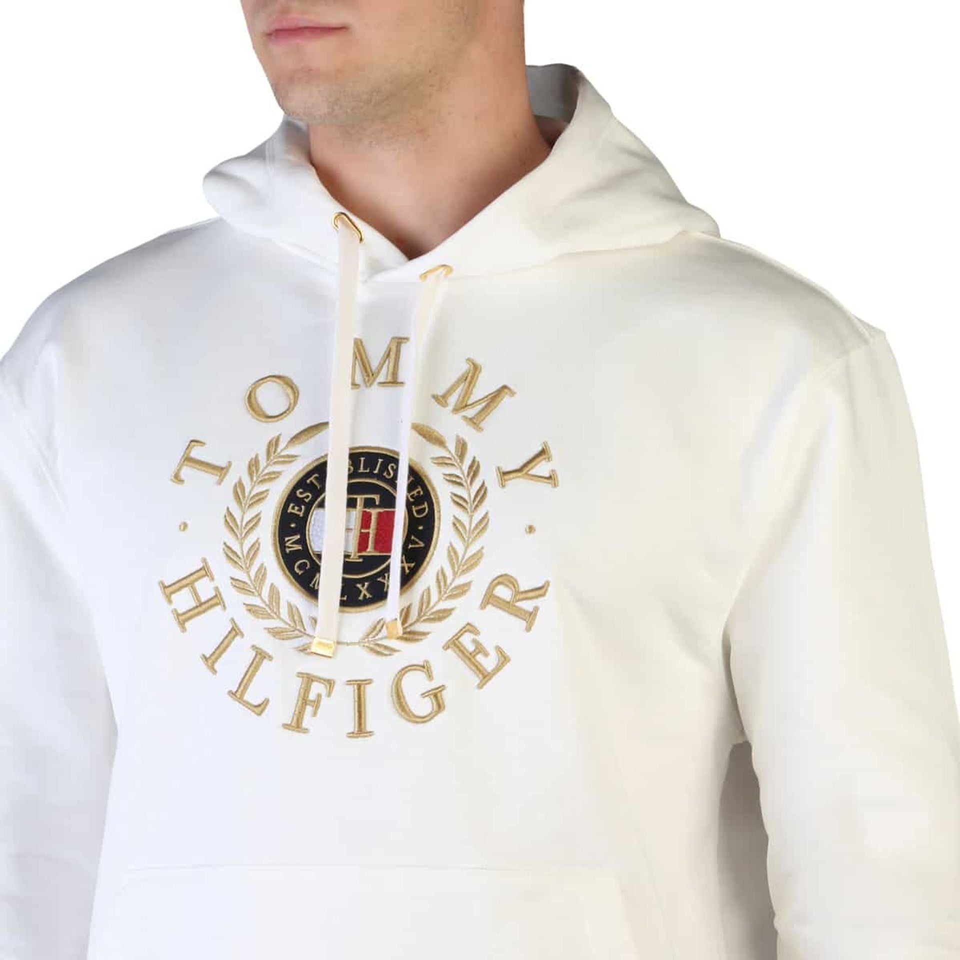 Tommy Hilfiger Sweatshirts - Fizigo